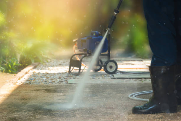 Best Sidewalk and Walkway Cleaning  in Kapaau, HI